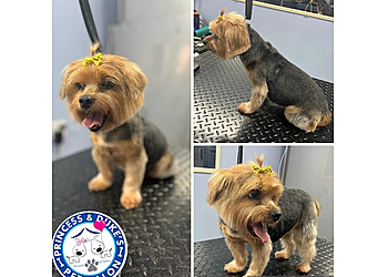 Hialeah Pet Grooming Princess And Dukes Pets Salon