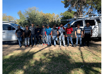 Pristine Green LLC Landscaping Pristine Green LLC Landscaping - Mesa, AZ Lawn Care Services - Service Team Image