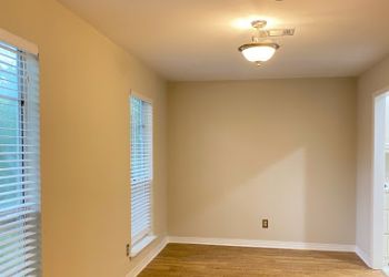 Mobile Painters Pro 1 Painters