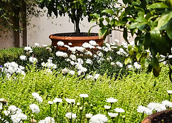 Broken Arrow Landscaping Companies ProActive Landscaping