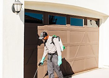 Sacramento Pest Control Companies Pro Active Pest Control