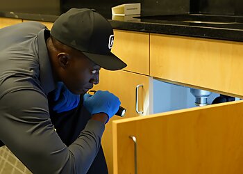 Savannah Pest Control Companies ProForce Pest Control Savannah