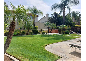 Irvine Lawn Care Services Pro Lawn Solutions