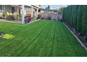 Irvine Lawn Care Services Pro Lawn Solutions
