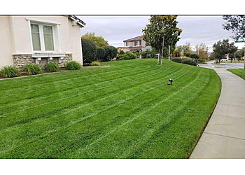 Pro Lawn Solutions Irvine Lawn Care Services image 1