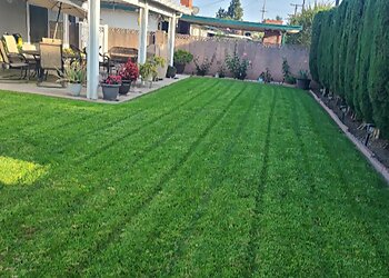Newport Beach Lawn Care Services Pro Lawn Solutions