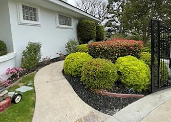 Newport Beach Lawn Care Services Pro Lawn Solutions