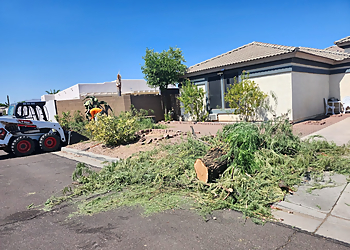 Peoria Landscaping Companies Pro Natural Landscape LLC