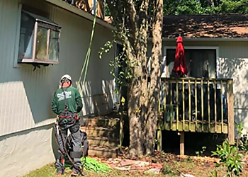 Tallahassee Tree Services Pro Tree Service