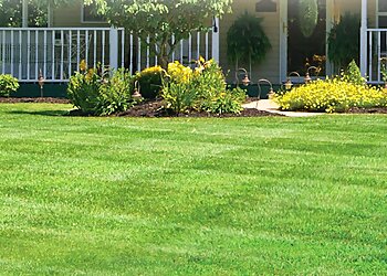 St Louis Lawn Care Services Pro Turf & Pro Pest Solutions