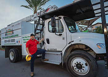 Concord Tree Services Prodigy Works