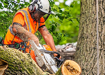 Concord Tree Services Prodigy Works