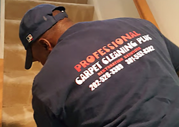Washington Carpet Cleaners Professional Carpet Cleaning Plus
