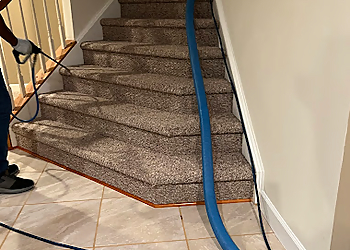 Professional Carpet Cleaning Plus Washington Carpet Cleaners Professional Carpet Cleaning Plus