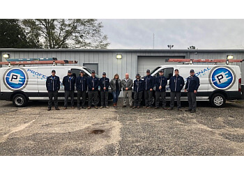 Professional Electric - Mobile, AL Electricians - Team Working Image