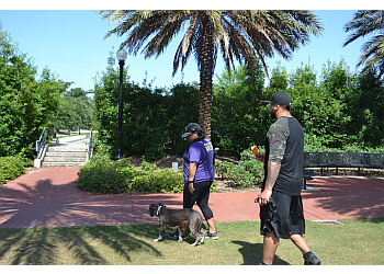 Professional K9 Solutions New Orleans Dog Training