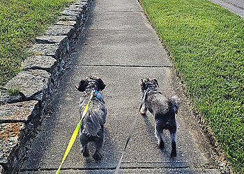 Cincinnati Dog Walkers Professional Pet Nanny, Inc.