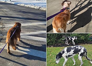 Cincinnati Dog Walkers Professional Pet Nanny, Inc.