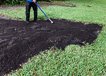 Clearwater Landscaping Companies Progressive Lawn & Landscaping