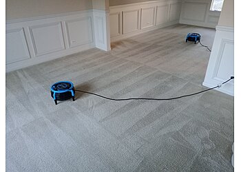 Proper Carpet Cleaning Aurora Carpet Cleaners image 1