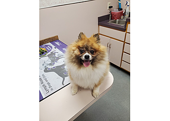 Waterbury Veterinary Clinics Prospect Veterinary Hospital