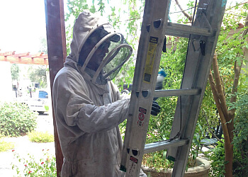 Glendale Pest Control Companies Protection Termite Control