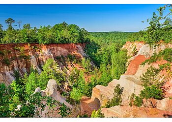 Columbus Hiking Trails Providence Canyon State Park