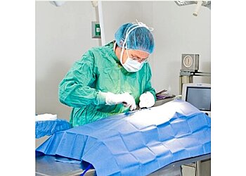 Providence Veterinary Clinics Providence River Animal Hospital