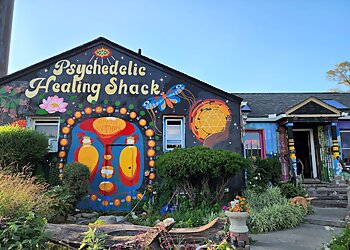 Detroit Vegetarian Restaurants Psychedelic Healing Shack
