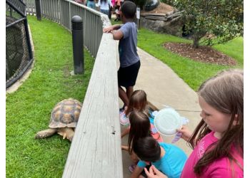 Columbus Preschools Puddle Jumpers Child Enrichment Center