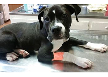 Pueblo Veterinary Clinics Pueblo Small Animal Clinic