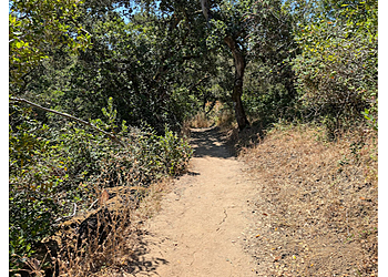 San Mateo Hiking Trails Pulgas Ridge Open Space Preserve
