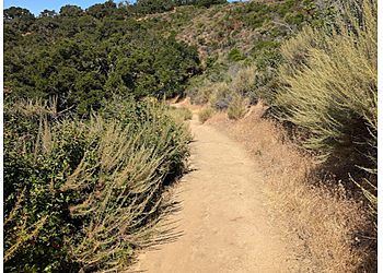San Mateo Hiking Trails Pulgas Ridge Open Space Preserve