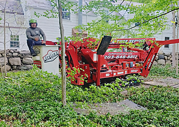 Stamford Tree Services Pulla Tree Services, LLC