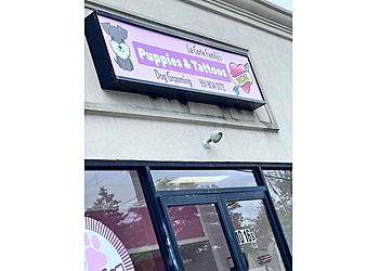Puppies & Tattoos Paterson Pet Grooming image 1