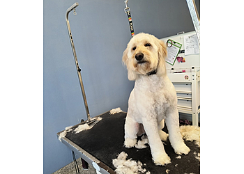 3 Best Pet Grooming in Overland Park, KS - Expert Recommendations