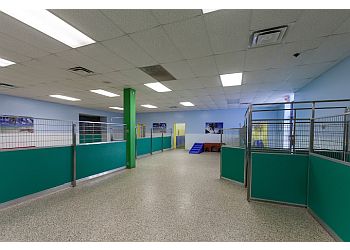 3 Best Pet Grooming in Cincinnati, OH - Expert Recommendations