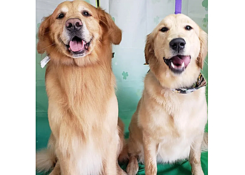 Olathe Pet Grooming Pups-N-Suds Olathe