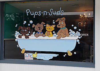 Pups-N-Suds Olathe  Olathe Pet Grooming image 1