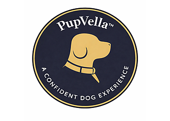 Pupvella Dog Grooming Pupvella Dog Grooming - Ann Arbor, MI Pet Grooming - Company Logo