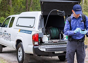 Hayward Pest Control Companies Purcor Pest Solutions