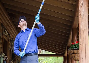 Vancouver Pest Control Companies Purcor Pest Solutions