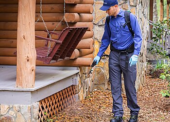 Vancouver Pest Control Companies Purcor Pest Solutions