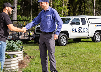 Pembroke Pines Pest Control Companies Purcor Pest Solutions Pembroke Pine
