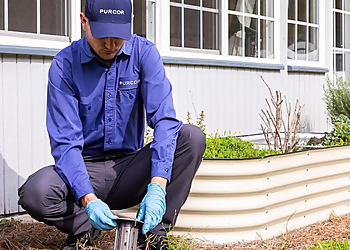 Pembroke Pines Pest Control Companies Purcor Pest Solutions Pembroke Pine