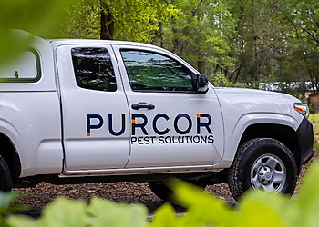 Purcor Pest Solutions Pembroke Pine Pembroke Pines Pest Control Companies image 1