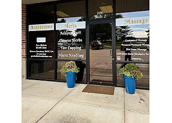 Pure Holistic Health Clinic Springfield Acupuncture image 1