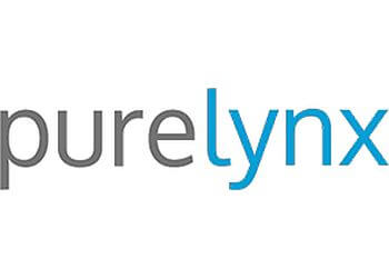 PureLynx-San Mateo San Mateo Advertising Agencies