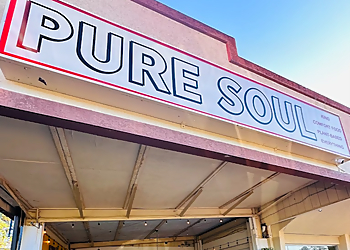 Durham Vegetarian Restaurants Pure Soul