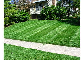 Dayton Lawn Care Services Purelawn Organic Lawncare